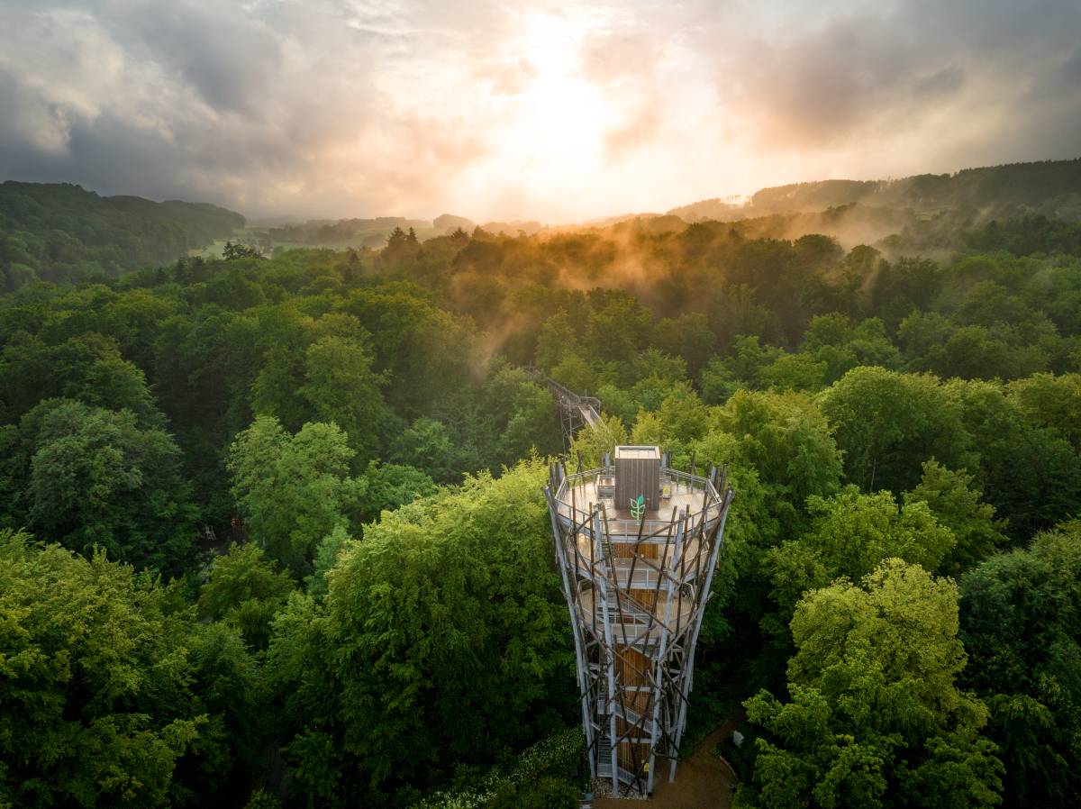 Baumwipfelpfad Bad Iburg Ausflugstipp
