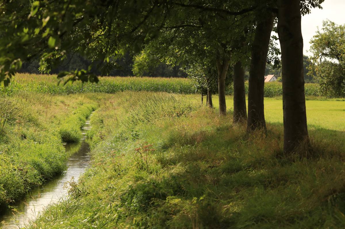 Hotel-Urlaub im Teutoburger Wald