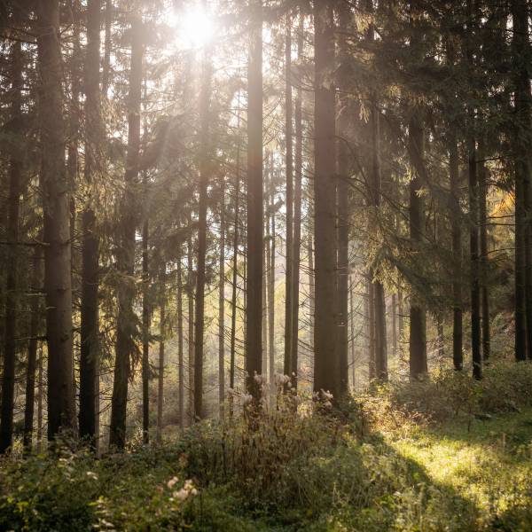 Wandern am Teutoburger Wald