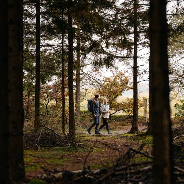 Wandern im Osnabrücker Land