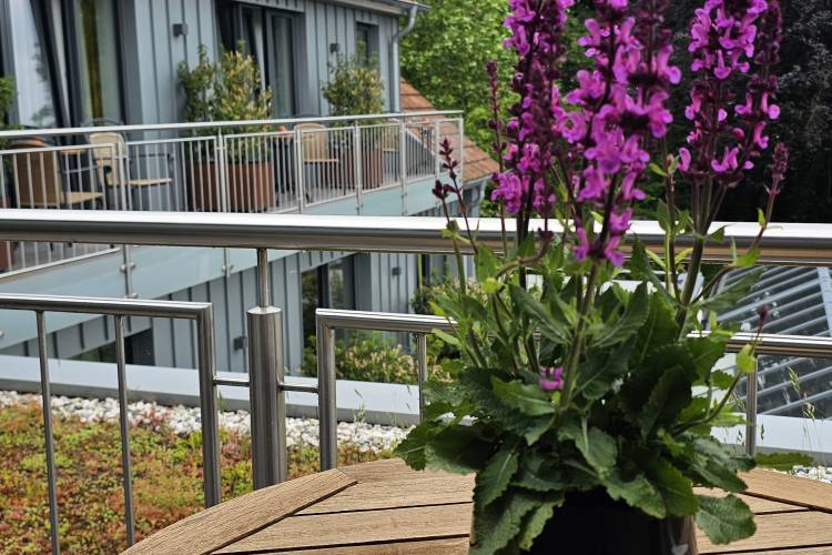 Classic Hotelzimmer Außenansicht | Doppelzimmer Bad Iburg