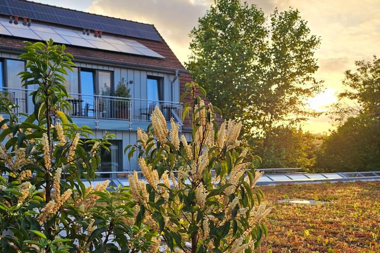 Doppelzimmer Premium Plus Aussicht vom Balkon - Bad Iburg