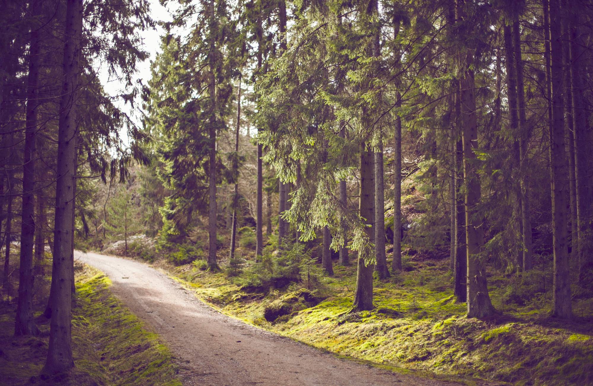 Kurzurlaub im Teutoburger Wald