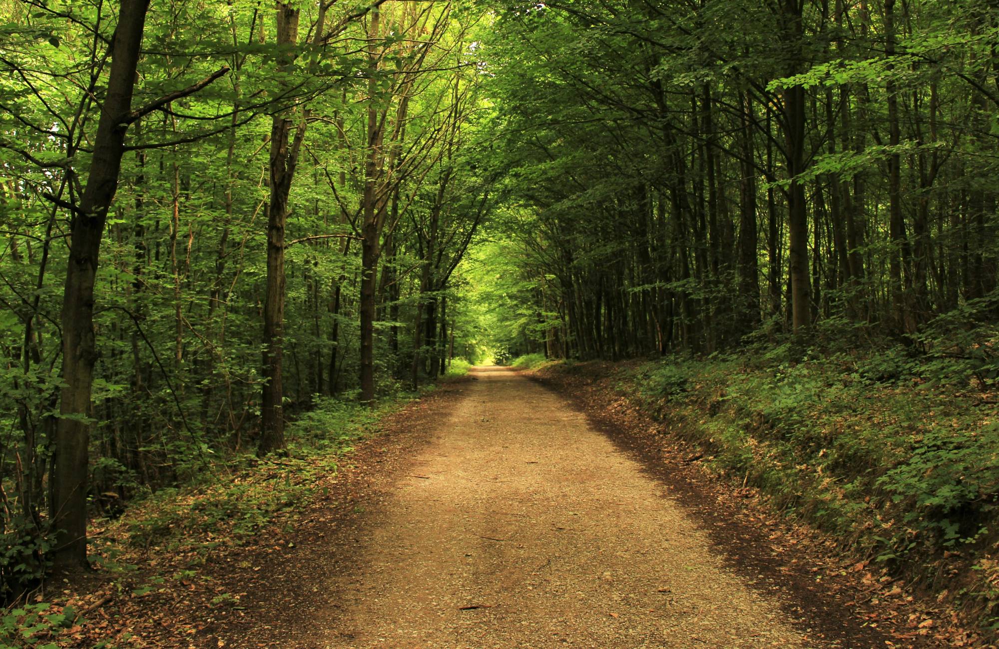 Landhotel-Teutoburger Wald