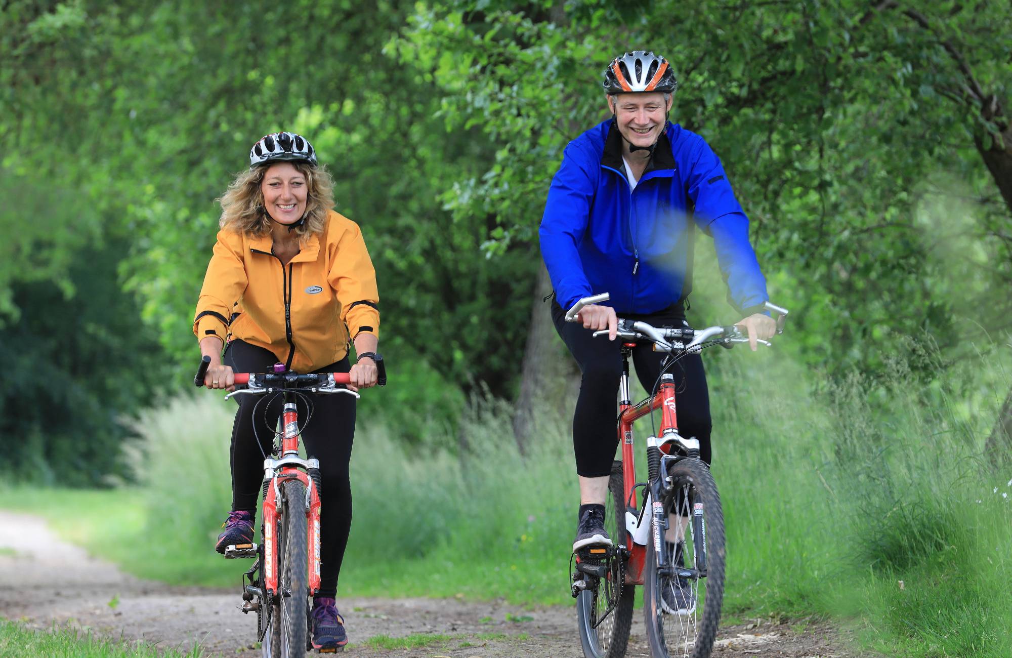 Mountainbike Osnabrücker Land