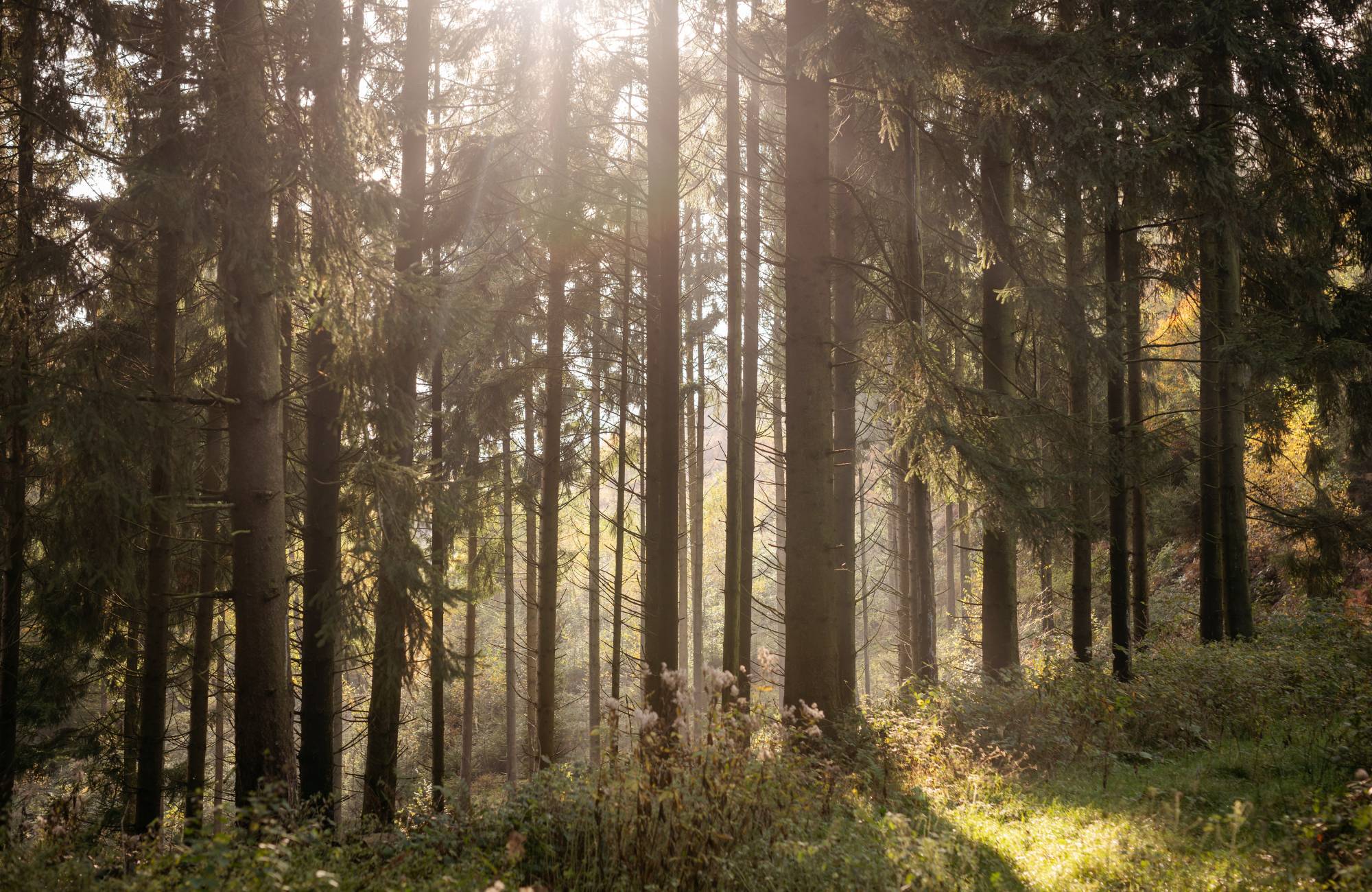 Wandern am Teutoburger Wald