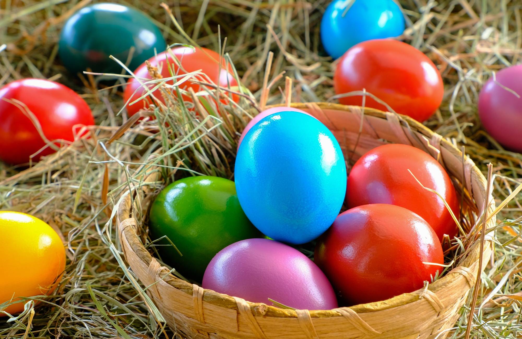 Ostermenü & Osterbuffet Restaurant Bad Iburg