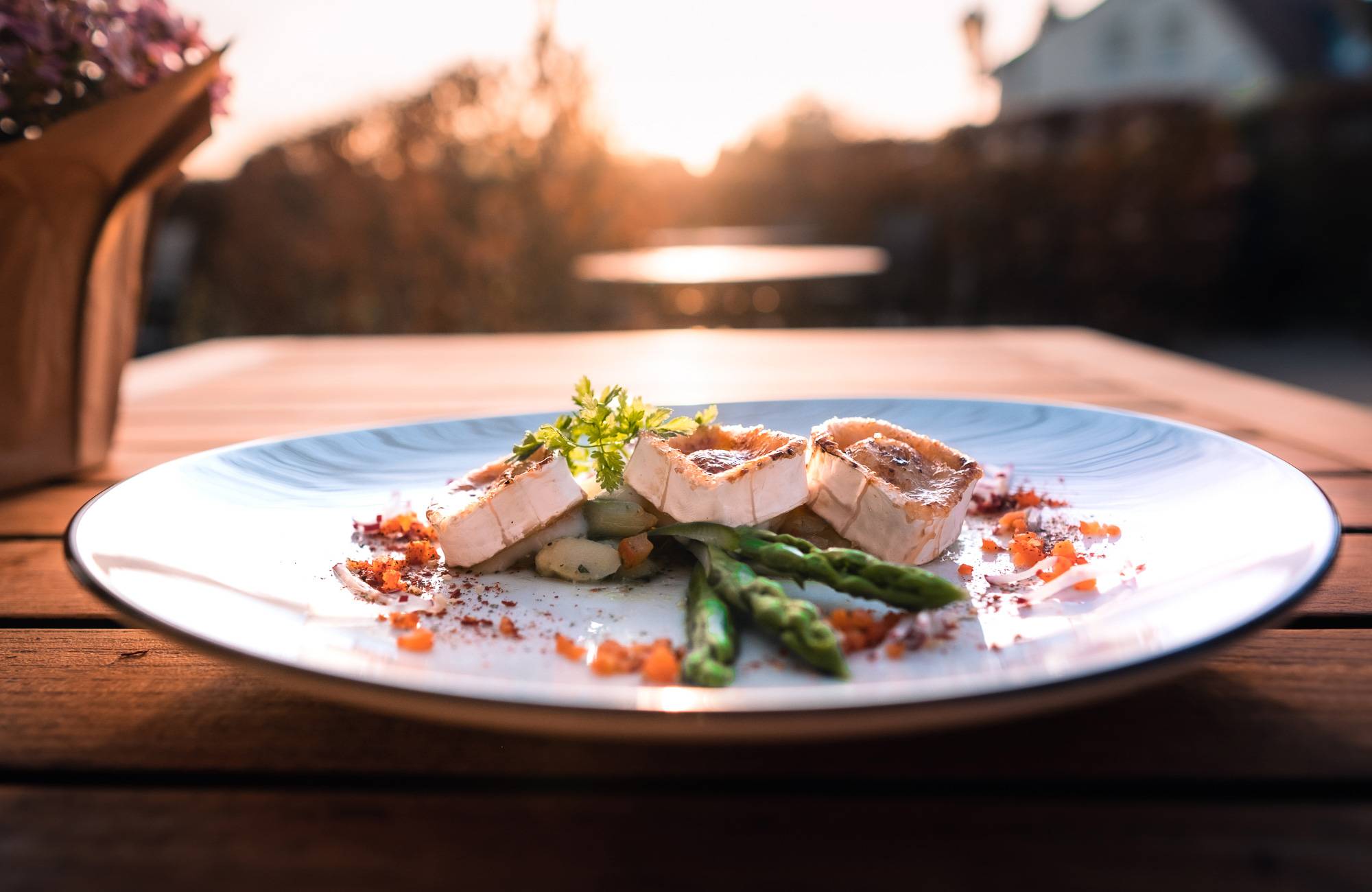 Speisekarte Gasthof zum Freden Bad Iburg