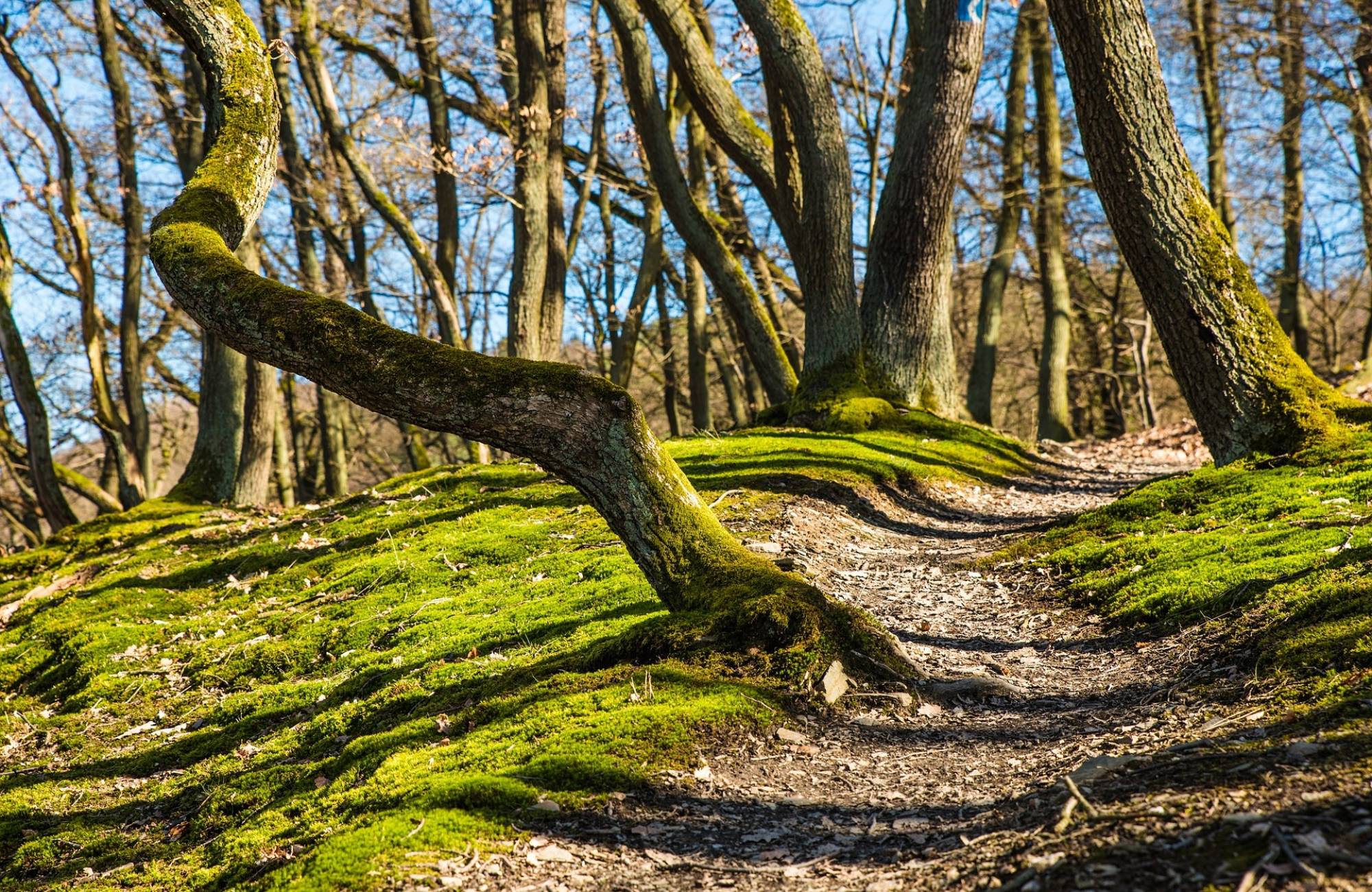 Wanderurlaub im Teutoburger Wald