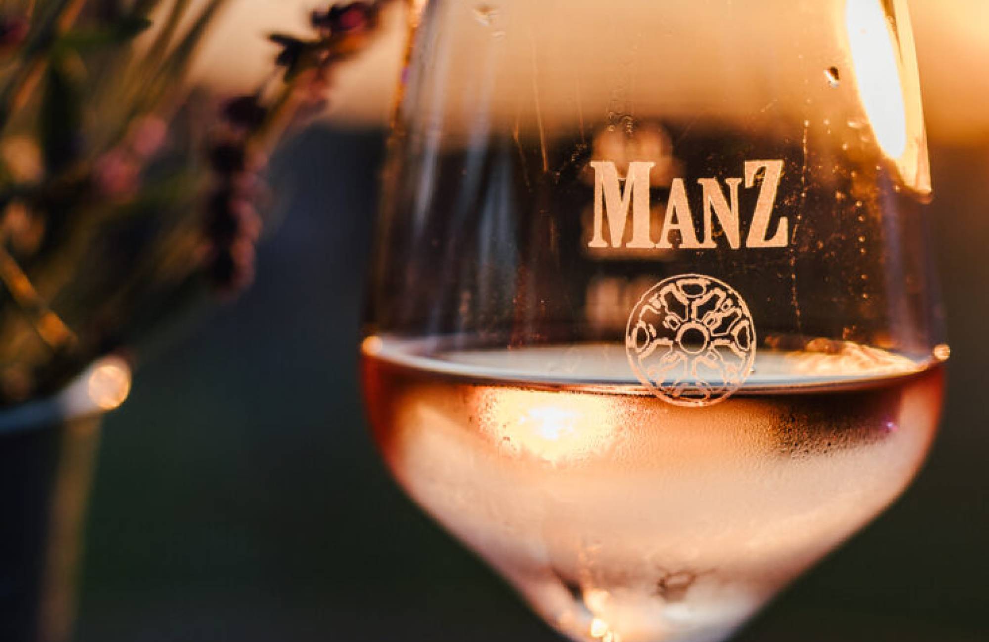 Weinabend Event in Bad Iburg-Weingut Manz