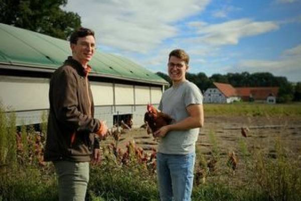 Eier vom Bauernhof Buddendieck
