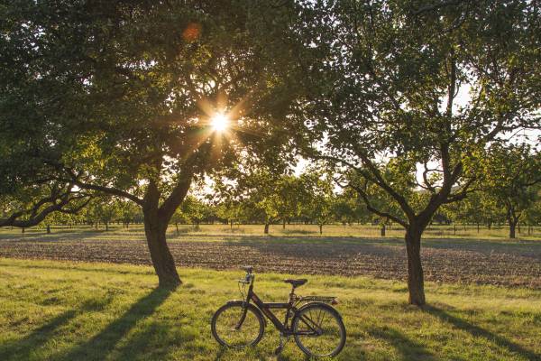 Mit dem Fahrrad im Teutoburger Wald
