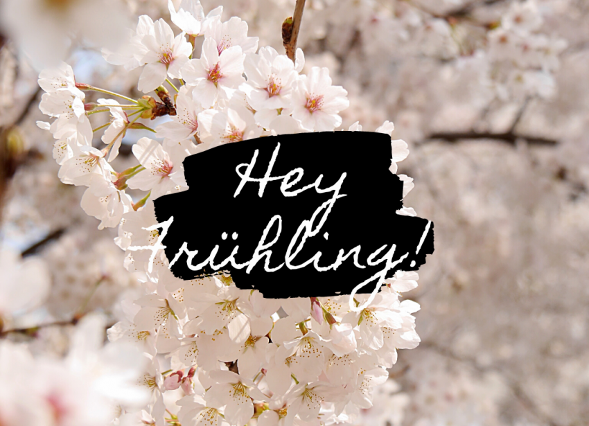 Frühlingsanfang - So schmeckt der Frühling Frühlingsanfang - So schmeckt der Frühling
