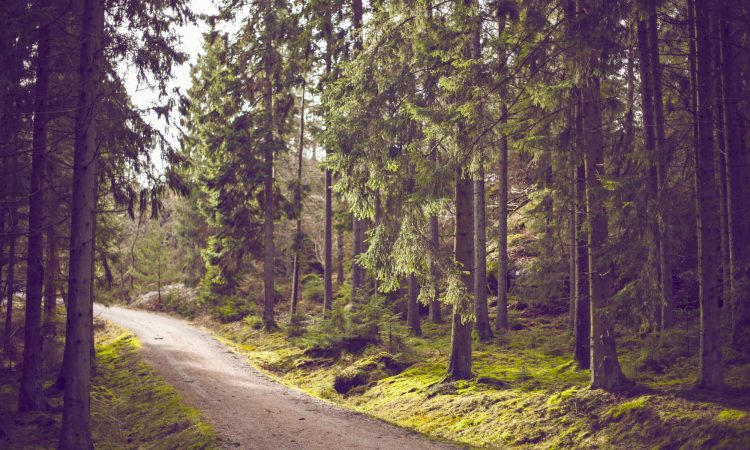 Genießen Sie die schöne Natur des Osnabrücker Landes & im Terra Vita Park